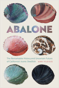 Abalone cover