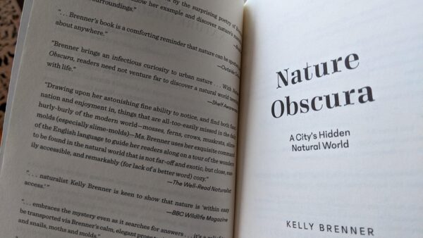Nature Obscura Press Page