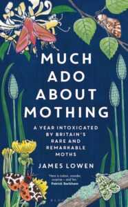Much Ado Mothing cover