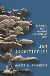 Ant Architecture cover
