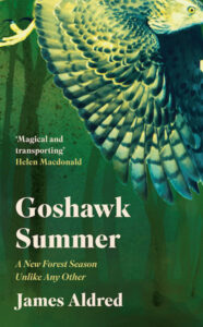 Goshawk Summer cover