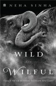 Wild Wilful cover