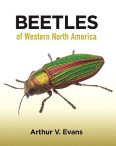 Beetles Western NA cover