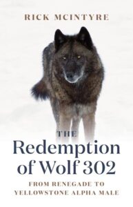 Redemption Wolf 302 cover