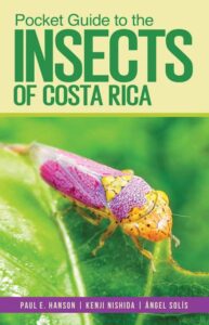 Pocket Guide Insects Costa Rica cover