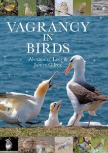 Vagrancy Birds cover