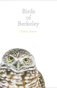 Birds Berkeley cover