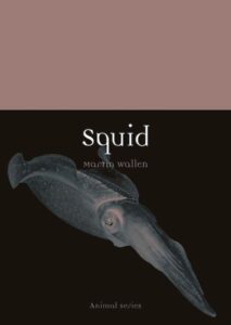 Squid cover