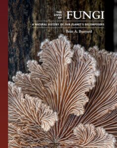 Natural History Fungi cover