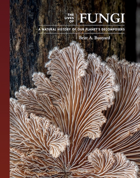 Naturalist has new ideas about fungi