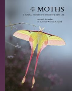 Natural History Moths cover