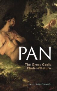 Pan cover