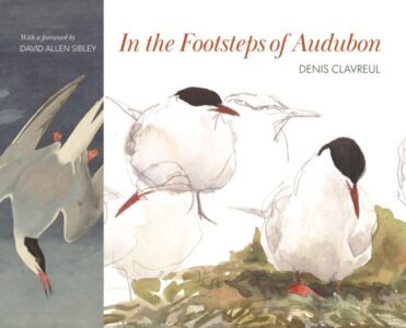 Footsteps Audubon cover