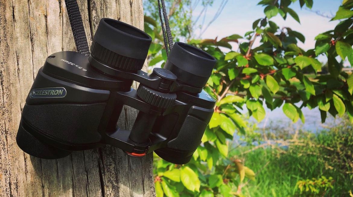 Celestron Ultima on Post Celestron Ultima on Post
