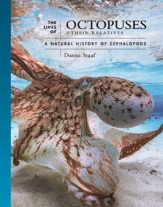 Octopuses PUP cover