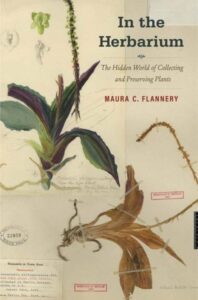 In the Herbarium cover