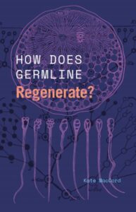 Germline Regenerate cover