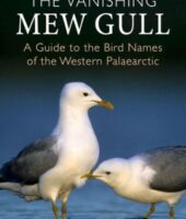 Vanishing Mew Gull cover