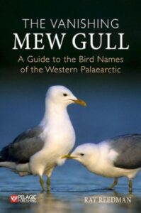 Vanishing Mew Gull cover