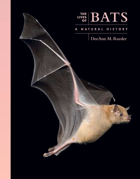 Lives of Bats cover