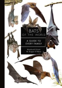 Bats World PUP cover