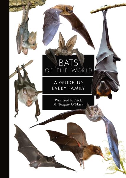Bats World PUP cover