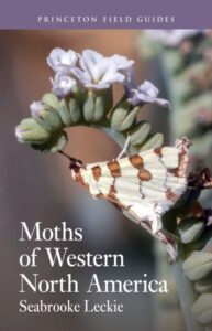 Moths Western NA cover