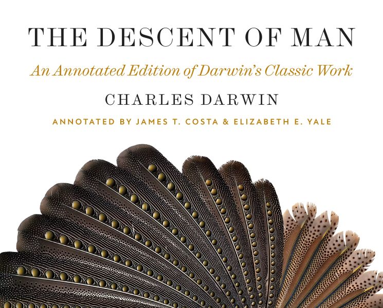 Descent of Man cover