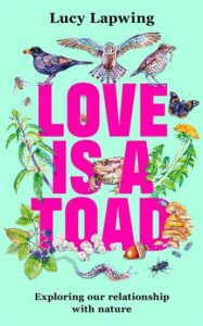 Love Toad cover