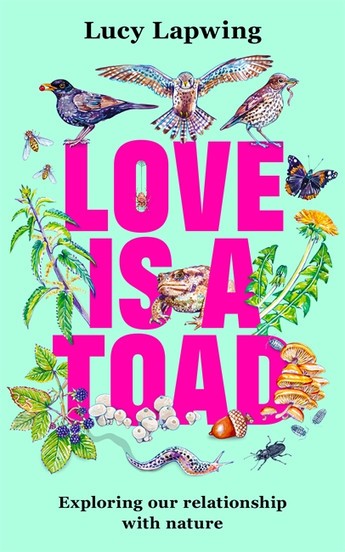 Love Toad cover