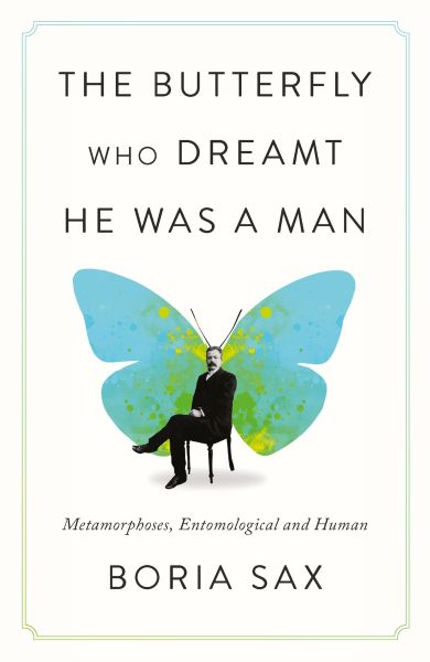 Butterfly Dreamt Man cover