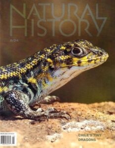 Natural History Magazine cover